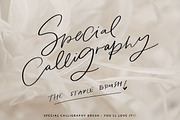 Procreate Brushes for Lettering, a Brush Add-On by Creator Goodies (Thumbnail 8 of 13)