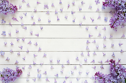 Flat lay with lilac flowers, an Arts & Entertainment Photo by The baking man
