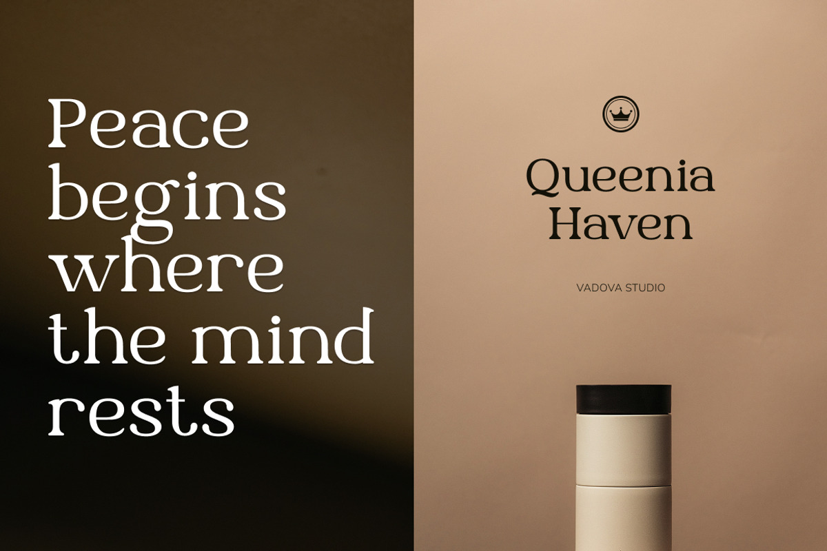 Queenia Elegant Modern Serif, a Serif Font by Vadovastd (Photo 7 of 11)