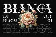 Mica Display Font, a Serif Font by Eotype Studio (Thumbnail 2 of 11)