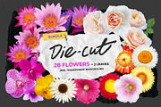 Die-cut Real Flowers Set 2 Bundle, a Nature Photo by aniunova (Thumbnail 1 of 4)