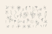 Cosmetic herbs, a Decorative Illustration by Merfin (Thumbnail 2 of 6)