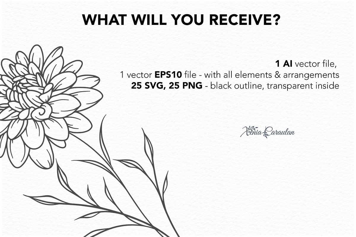 Fine Line Birth flowers Collection, an Illustration by CaraulanStore (Photo 8 of 8)