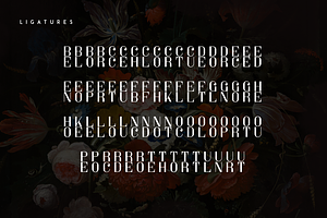 Sorcha Display Font Swashes