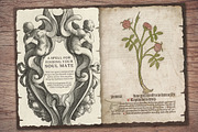 Grimoire Scrapbook Kit, a Decorative Illustration by Secret Helper (Thumbnail 6 of 7)