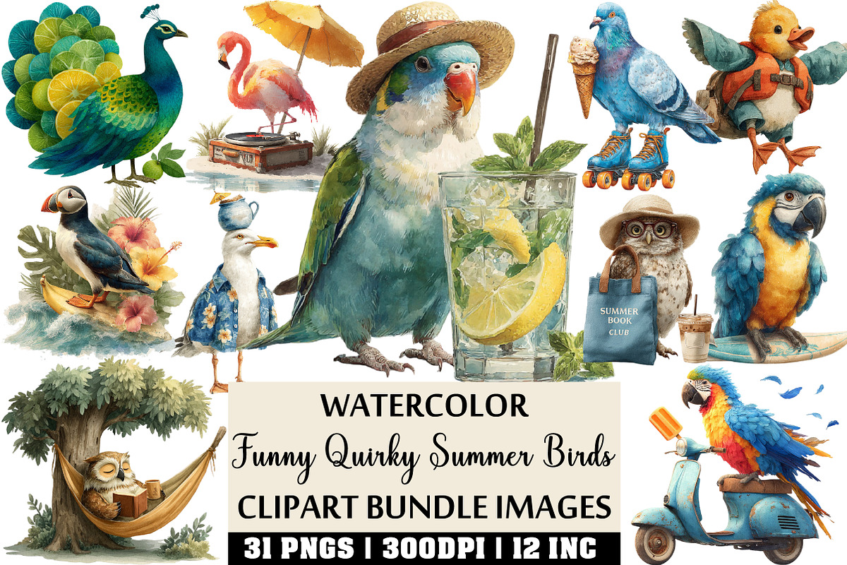 Funny Quirky Summer Birds Clipart, an Illustration by Craft Nest (Photo 1 of 4)