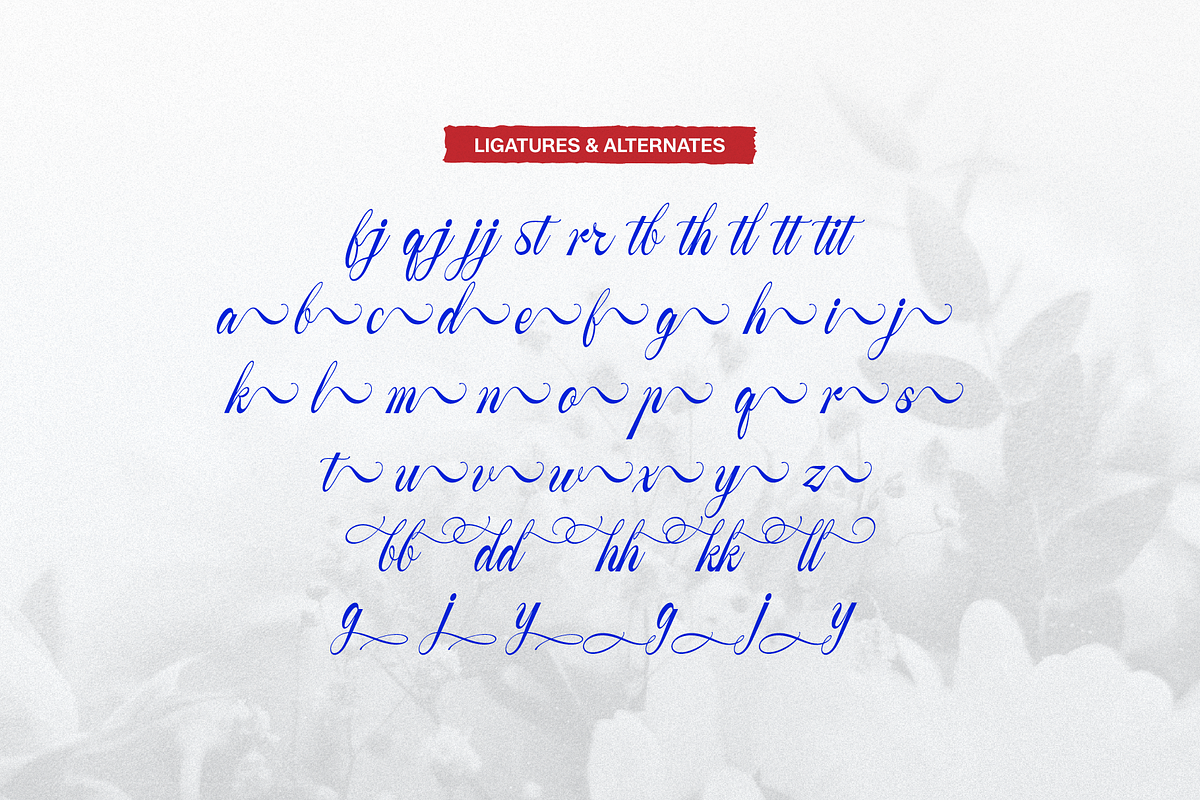 Yureika Glasious Classic Script, a Script Font by gracetype_studio (Photo 11 of 11)