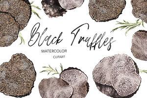 Black Truffle Watercolor Clipart