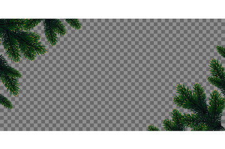 Green Christmas tree branches