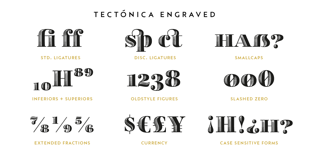 Tectónica, a Serif Font by Untype (Photo 12 of 14)