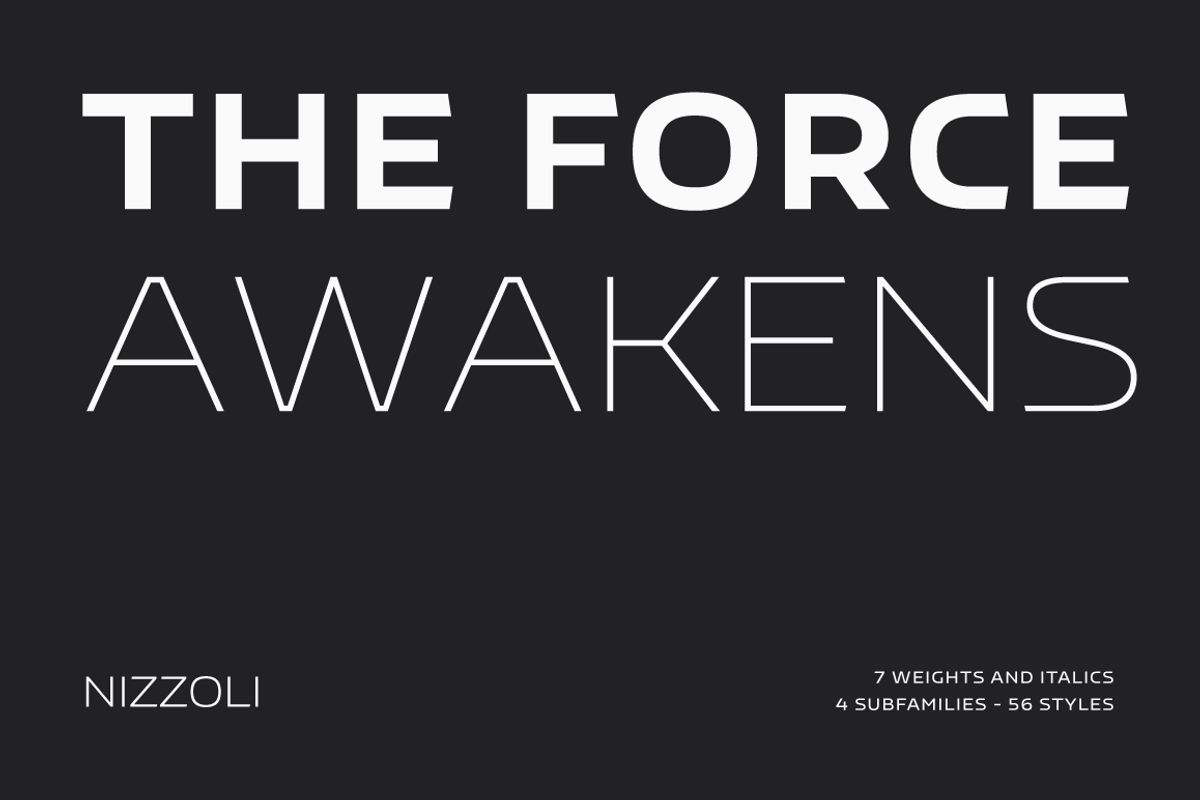 Nizzoli, a Sans Serif Font by Los Andes Type (Photo 9 of 16)