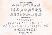 Reallity | Script Font, a Script Font by Scratchones (Thumbnail 5 of 8)