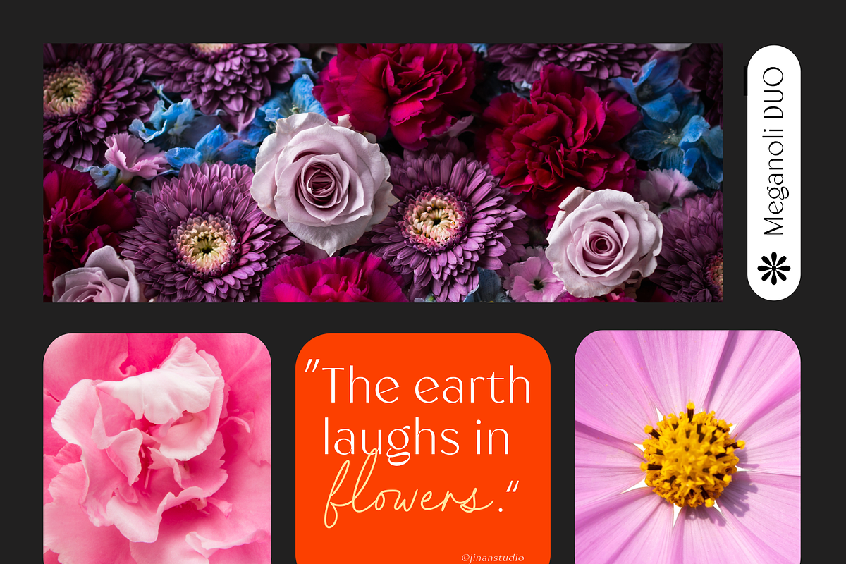 Meganoli - A Modern Font Duo, a Sans Serif Font by Ainun Jinan (Photo 9 of 13)