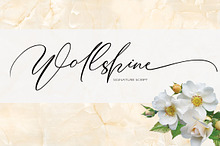 Wollshine