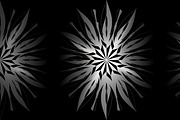 560+ Mandala Design Mega Collection, a Decorative Illustration by NJ Himel (Thumbnail 233 of 289)