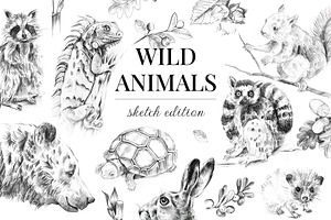 Wild Animals. Sketch Edition. 22 PNG