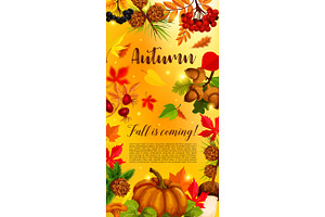 Autumn Banner With Pumpkin And Fallen Leaves