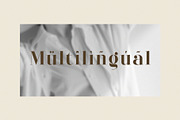 Sangeva – Elegant Modern Serif Font, a Serif Font by BrandSemut (Thumbnail 8 of 8)