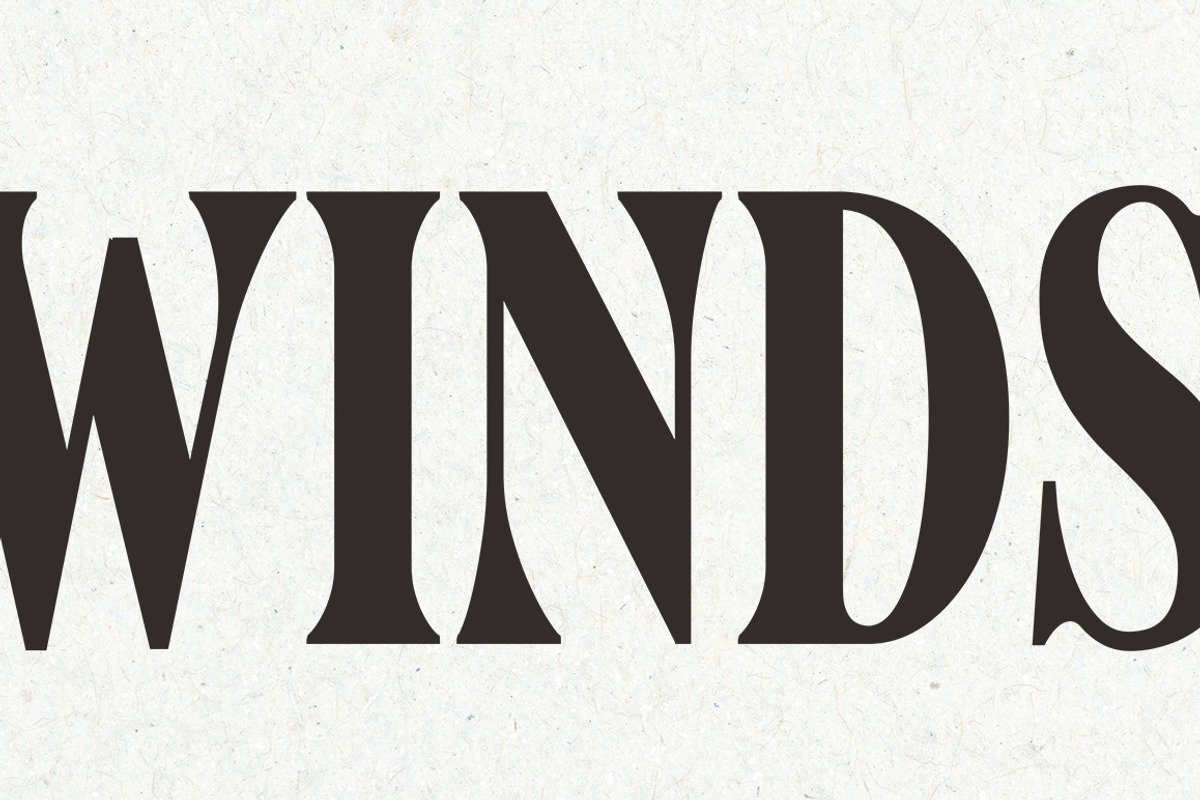 Nimuhinz, a Serif Font by AnayaStudio (Photo 8 of 8)