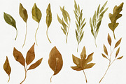 Watercolor Autumn Leaves Bundle, an Illustration by Helga Wigandt (Thumbnail 12 of 18)