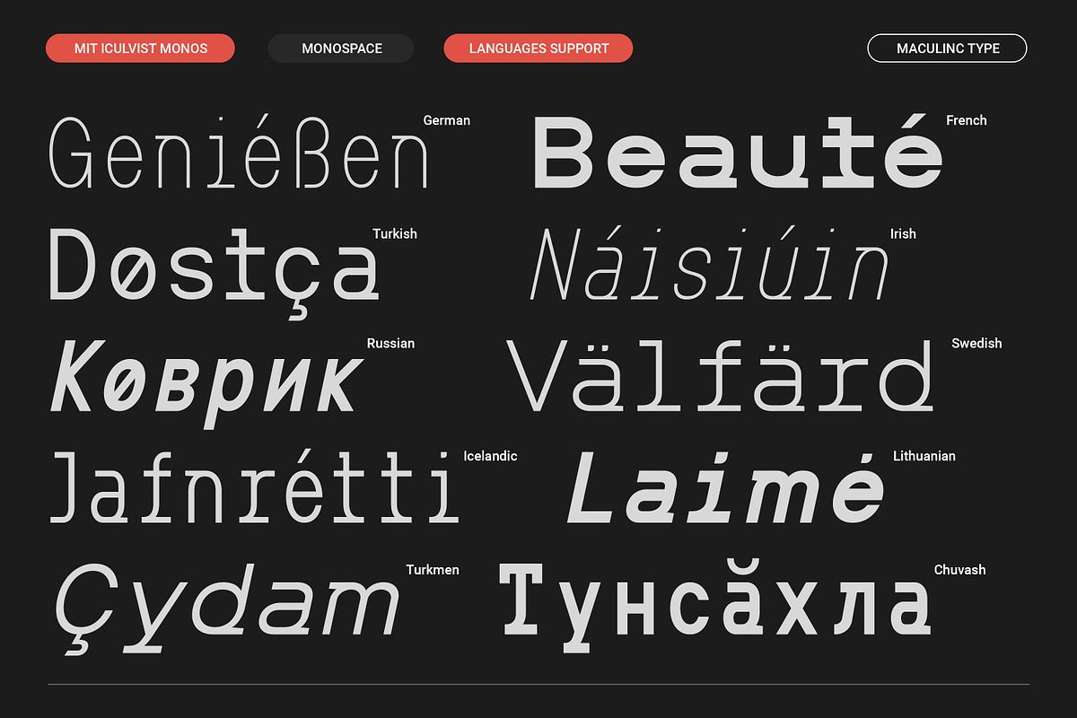 MIT Iculvist Monos | Variable, a Sans Serif Font by Maculinc Type (Photo 9 of 12)