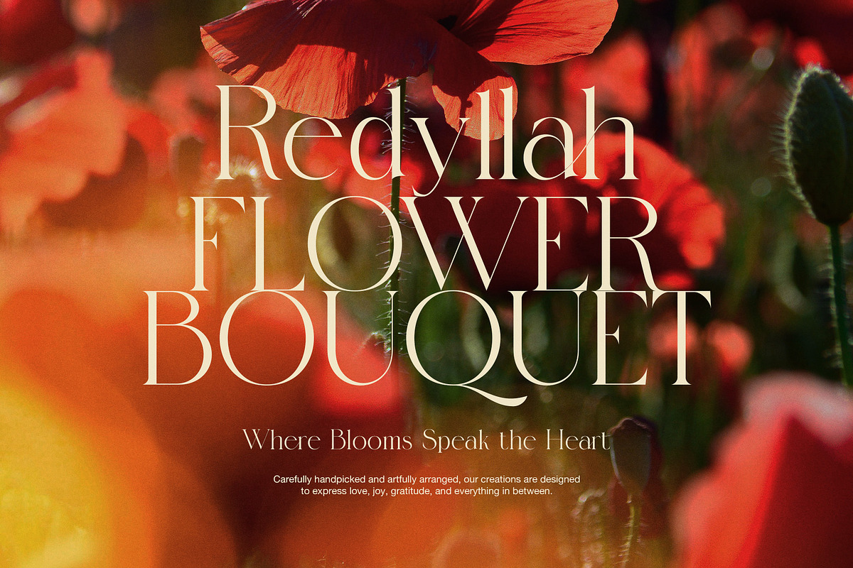 Qelgis Stylish Serif Font, a Serif Font by Elegant Font (Photo 5 of 8)