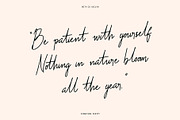 Signature Script Bundle, a Script Font by Craft Supply Co. (Thumbnail 5 of 11)