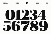 CS Relita – Retro Serif Font, a Serif Font by Craft Supply Co. (Thumbnail 5 of 8)