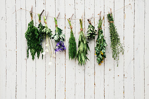 Medicinal herbs featuring background, dry, and flower