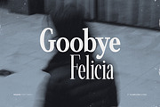 Minims - Serif Retro Family Series, a Serif Font by Flawless And Co (Thumbnail 6 of 11)