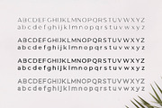 Gantic Font Family - Sans Serif, a Sans Serif Font by RC graphics (Thumbnail 3 of 11)