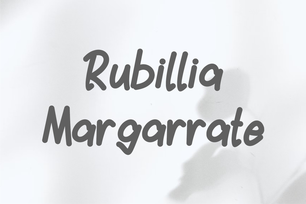 Plenieer Handwritten Font., a Handwritten Font by VectorCraft (Photo 3 of 5)