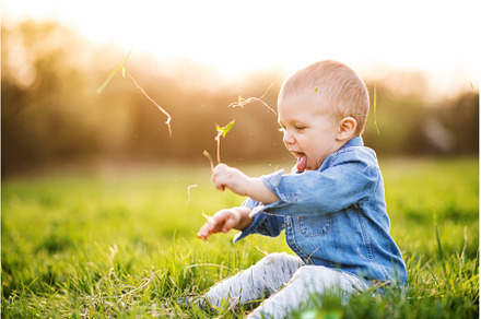 Cute toddler playing in grass. Baby, a Person Photo by HalfPoint