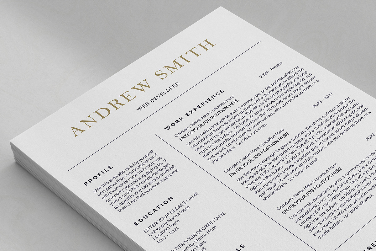 Canva Resume Template preview 5
