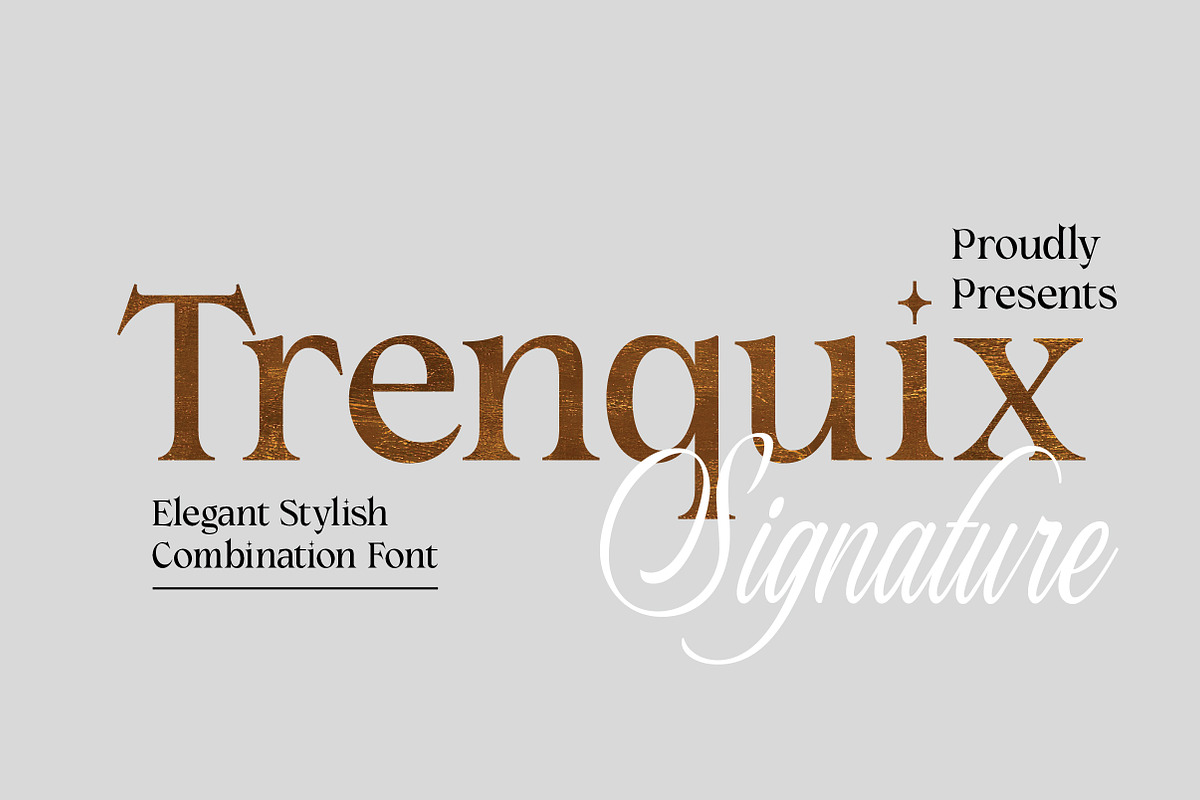 Trenquix | Stylish Modern Serif Type, a Serif Font by Artdez (Photo 1 of 5)