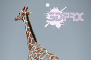 HD_GIRAFFE, an Animal 3D Model by 3DFRX (Thumbnail 3 of 5)