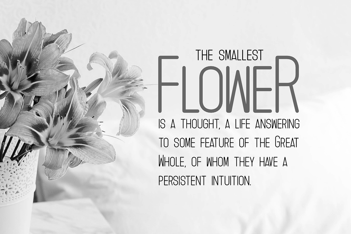 Zeneca Rounded, a Sans Serif Font by almazstudio (Photo 4 of 10)