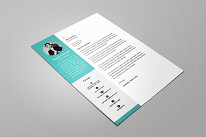 Blue Designer Resume