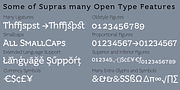 Supra Demiserif, a Slab Serif Font by Wiescher-Design (Thumbnail 2 of 5)