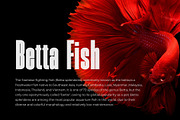 Skinger - A Bold Condensed Sans, a Sans Serif Font by TypeLogue (Thumbnail 4 of 5)