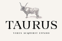 Taurus -high class serif