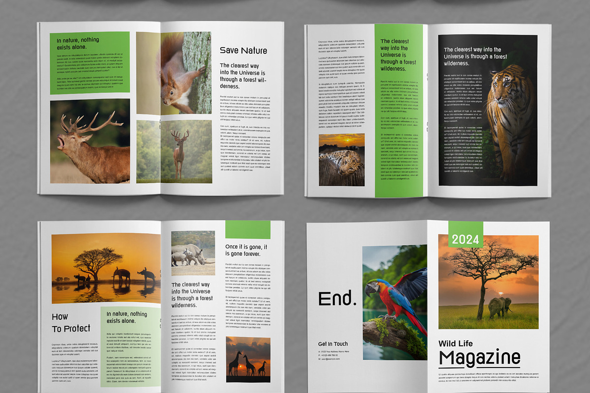Wild Life Magazine Template, a Magazine Template by ContestDesign (Photo 3 of 4)