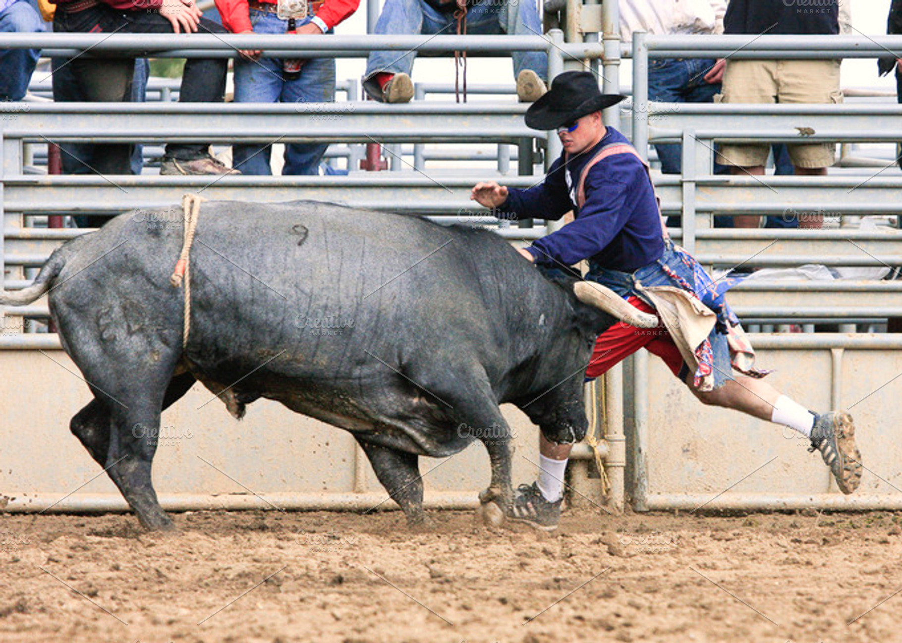 Bull riding stock photo containing bull and animal, a Sports & Recreation Photo by RodeoPixels WesternImage
