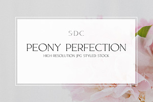 Peony Perfection Styled Stock