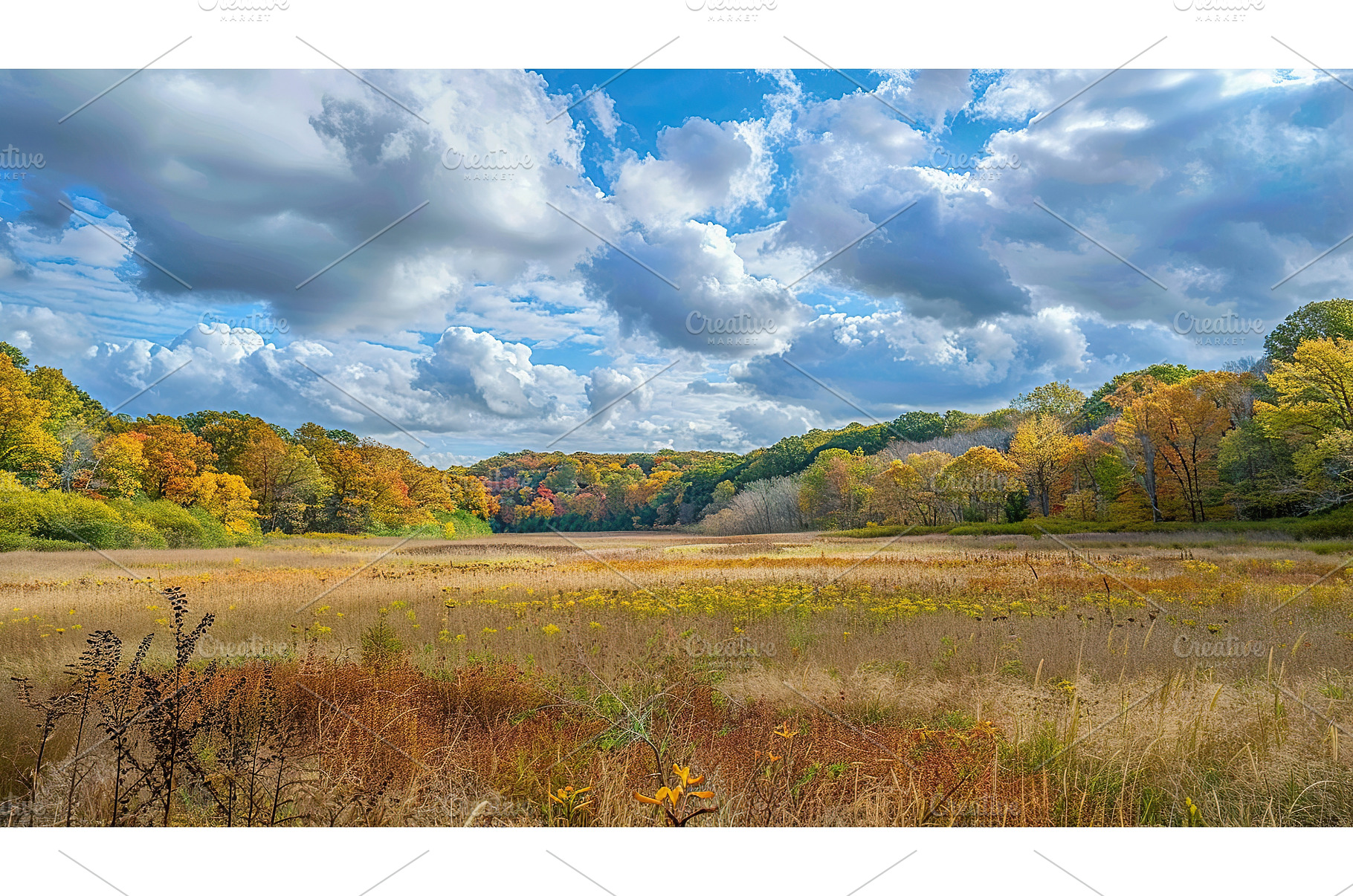 Stunning Autumn Landscape with, a Nature Photo by Lermont51