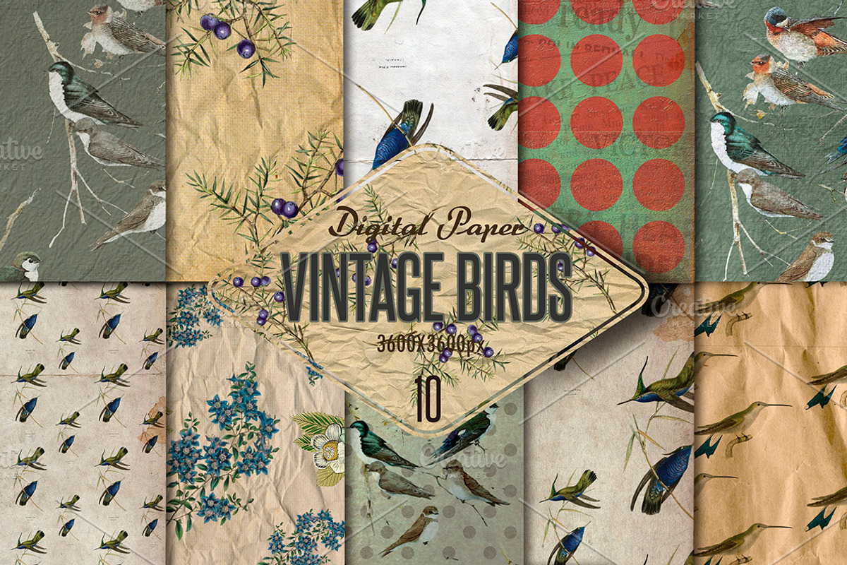 Vintage Birds- 10 Digital paper, a Texture Graphic by JAY MID IMAGE (Photo 3 of 4)