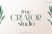 The Bright Lake Font Duo + Logos, a Serif Font by SNIPESCIENTIST (Thumbnail 2 of 31)
