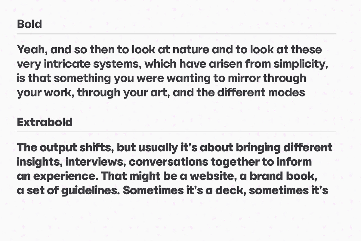 YNF Norman | 9 weights sans serif, a Sans Serif Font by YNF (Photo 14 of 51)