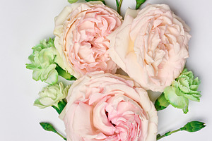 A floral arrangement of open, soft pink roses and small green ca, a Nature Photo by ndanko