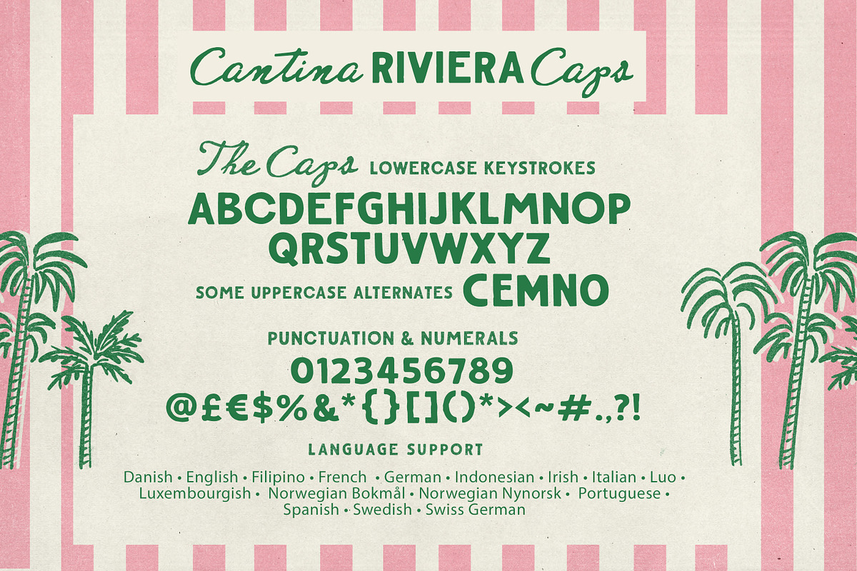 Cantina Riviera Font Duo, a Handwritten Font by Nicky Laatz (Photo 23 of 24)